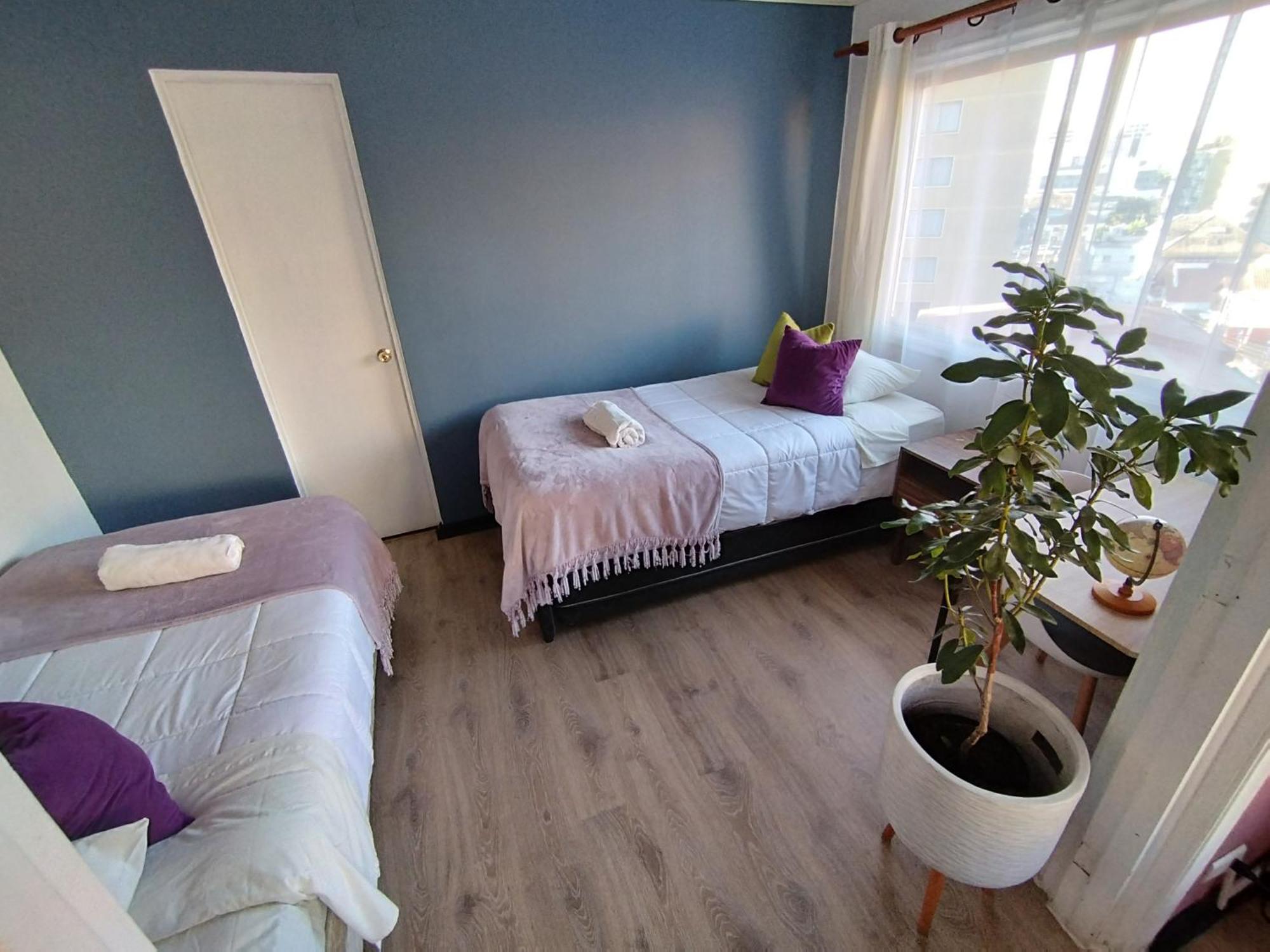 Hostal Casa Lhotse 比尼亚德尔马 外观 照片